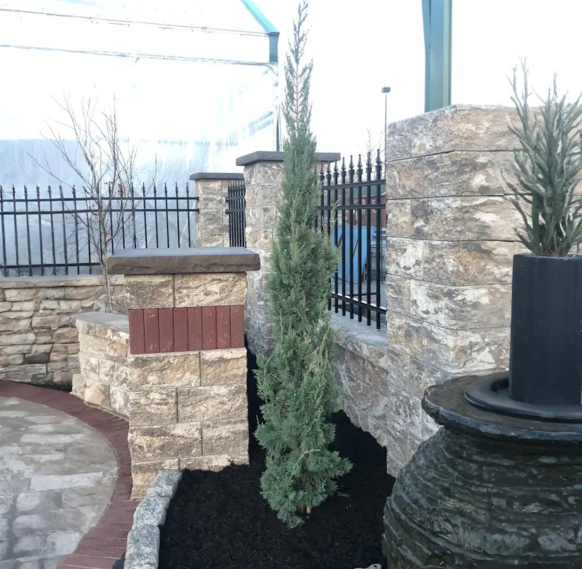 Trautman Juniper