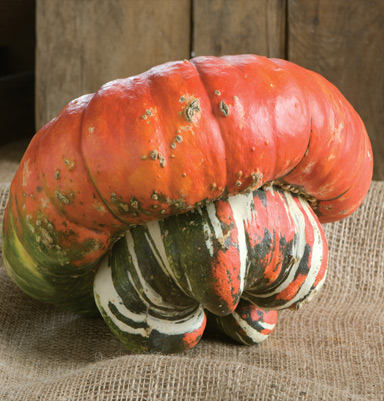 turks Turban
