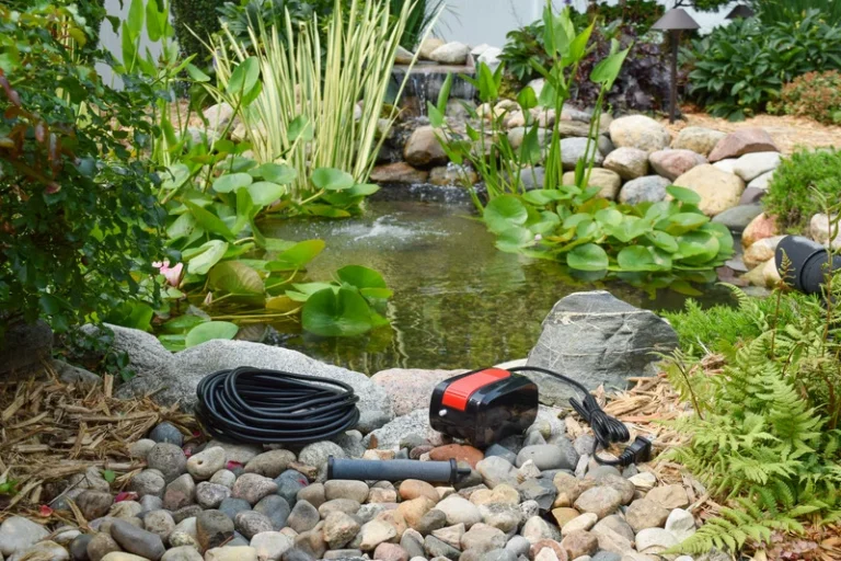 Aerator 1